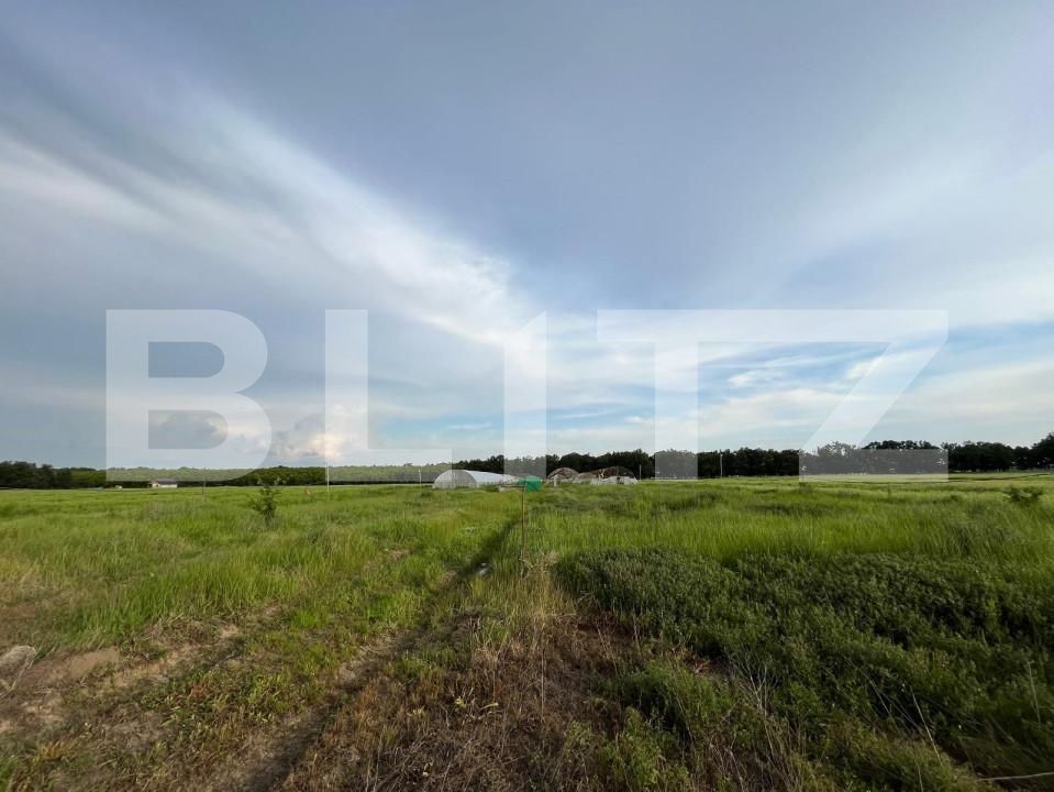 Teren de vânzare Bucovat - 147387TV | BLITZ Craiova | Poza4