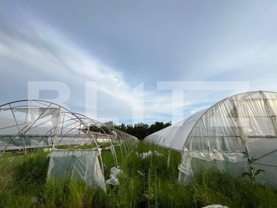 Teren de vânzare Bucovat - 147387TV | BLITZ Craiova | Poza7