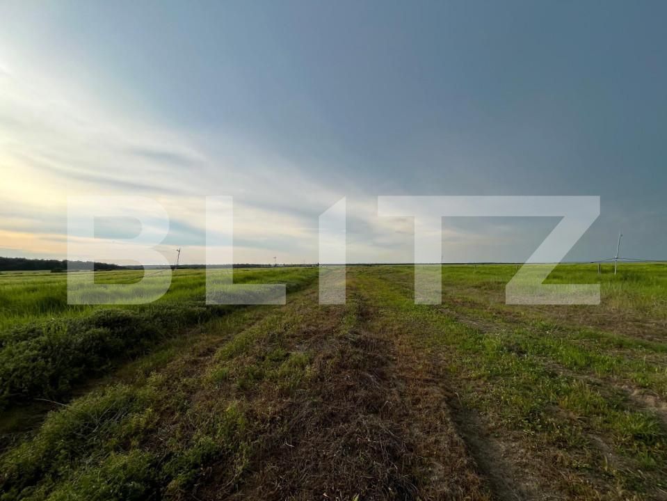 Teren de vânzare Bucovat - 147387TV | BLITZ Craiova | Poza5
