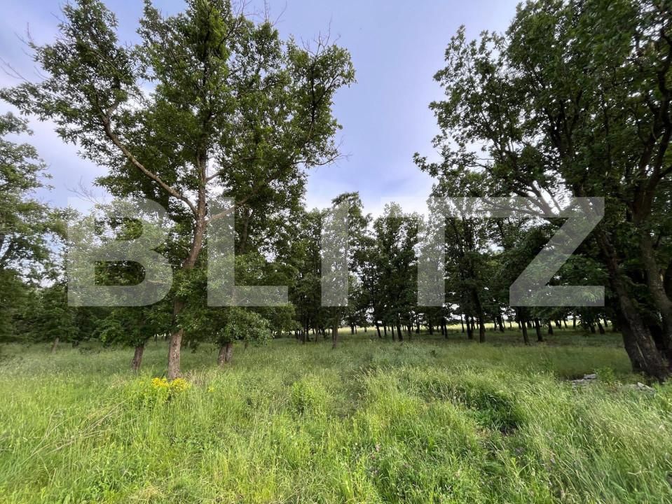 Teren de vânzare Bucovat - 147387TV | BLITZ Craiova | Poza2