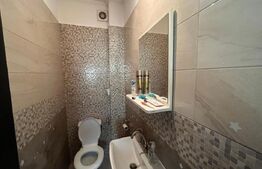 Casă D + P, 3 camere, 2 băi, curte, Brazda lui Novac