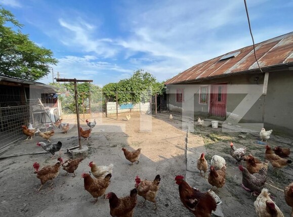 Casa de vânzare 5 camere Brestei - 147399CV | BLITZ Craiova | Poza6