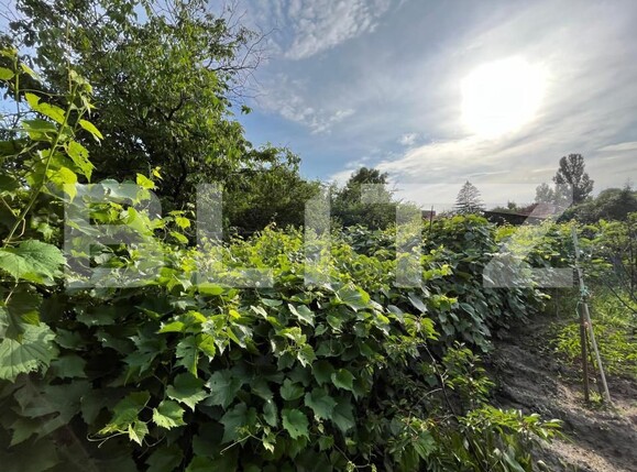 Casa de vânzare 5 camere Brestei - 147399CV | BLITZ Craiova | Poza4