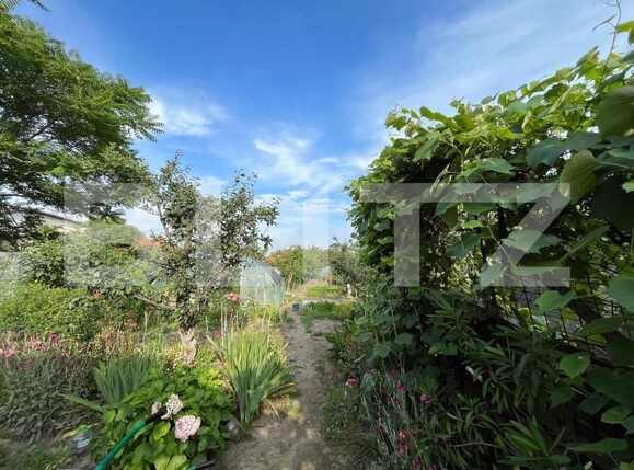 Casa de vânzare 5 camere Brestei - 147399CV | BLITZ Craiova | Poza5