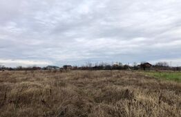 Teren intravilan 2.500 mp, la malul Jiului, Malu Mare