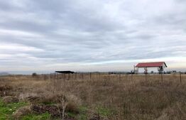 Teren intravilan 2.500 mp, la malul Jiului, Malu Mare