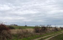 Teren intravilan 3.800 mp, zonă liniștită, Malu Mare