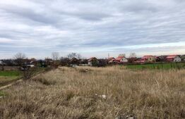 Teren intravilan 3.800 mp, zonă liniștită, Malu Mare