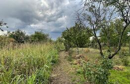 Teren de 2368 mp , Zona Calea Bucuresti