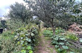 Teren de 2368 mp , Zona Calea Bucuresti