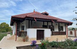 Exclusivitate, comision 0%!Casa boiereasca de vacanta la Diosti,teren de 3300 mp