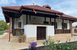 Exclusivitate, comision 0%!Casa boiereasca de vacanta la Diosti,teren de 3300 mp