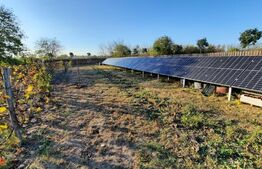 Exclusivitate, comision 0%!Casa boiereasca de vacanta la Diosti,teren de 3300 mp