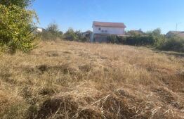 Teren intravilan 750 mp,zona Carcea Pelendava