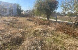 Teren intravilan 750 mp,zona Carcea Pelendava