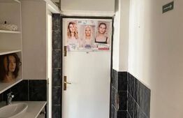 Apartament pretabil spatiu comercial, parter, zona George Enescu