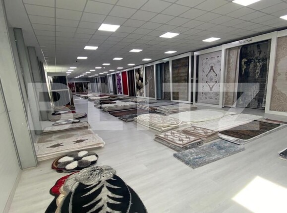 Spațiu industrial de închiriat Calea Bucuresti - 147603SII | BLITZ Craiova | Poza5