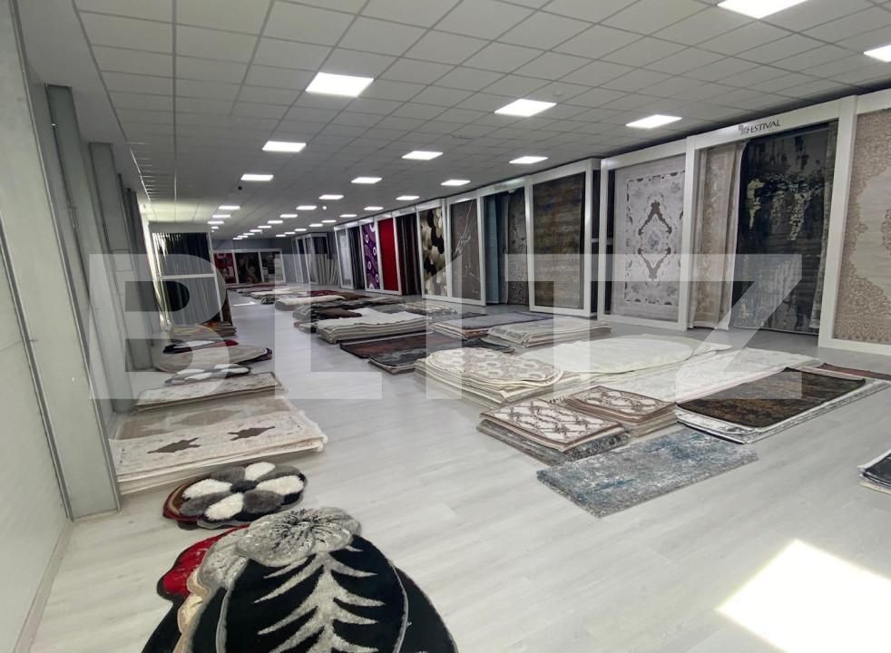 Spațiu industrial de închiriat Calea Bucuresti - 147603SII | BLITZ Craiova | Poza5