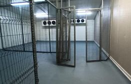 Spatii frigorifice si congelare, zona Lidl Calea Bucuresti