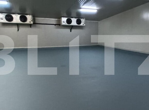 Spațiu industrial de închiriat Rovine - 147604SII | BLITZ Craiova | Poza1