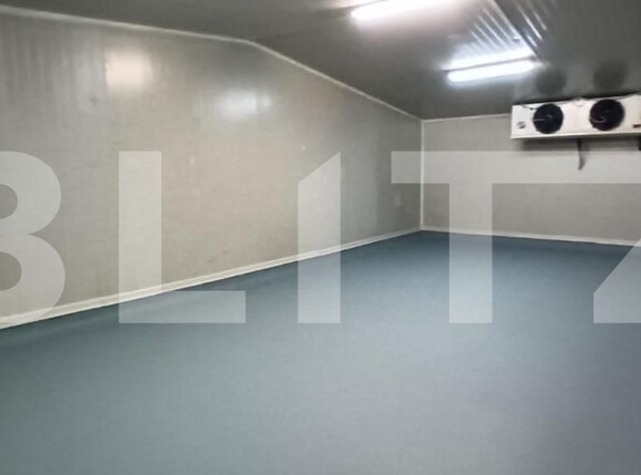 Spațiu industrial de închiriat Rovine - 147604SII | BLITZ Craiova | Poza2