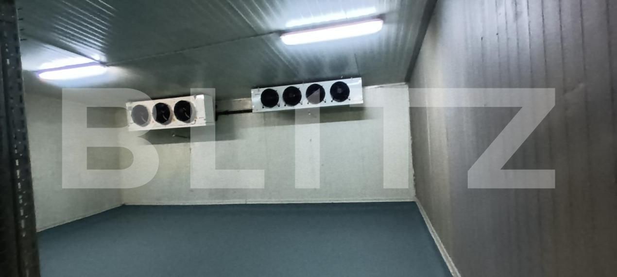 Spațiu industrial de închiriat Rovine - 147604SII | BLITZ Craiova | Poza3