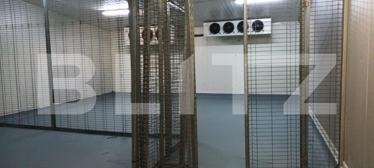 Spațiu industrial de închiriat Rovine - 147604SII | BLITZ Craiova | Poza5