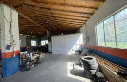 Hala Industriala, 300 mp, in afara orasului 