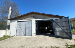 Hala Industriala, 300 mp, in afara orasului 