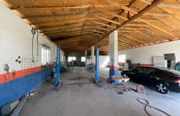 Hala Industriala, 300 mp, in afara orasului 