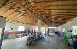 Hala Industriala, 300 mp, in afara orasului 