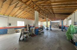 Hala Industriala, 300 mp, in afara orasului 