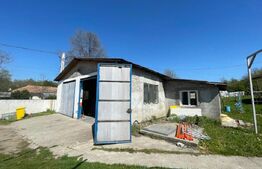 Hala Industriala, 300 mp, in afara orasului 