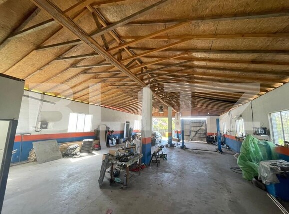 Spațiu industrial de închiriat Nord-Est - 147606SII | BLITZ Craiova | Poza1