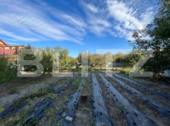 Casa de închiriat 18 camere Lascar Catargiu - 147718CI | BLITZ Craiova | Poza6