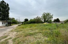 Teren intravilan de închiriat 12.490 mp,toate utilitățile, drum asfaltat,Brestei
