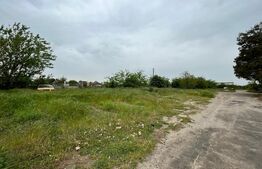 Teren intravilan de închiriat 12.490 mp,toate utilitățile, drum asfaltat,Brestei