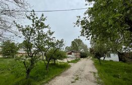 Oportunitate! Teren intravilan 3 hectare, Bals