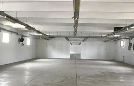 Hala industriala, 300 mp, zona Carcea