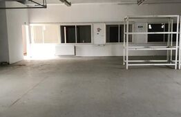 Hala industriala, 300 mp, zona Carcea