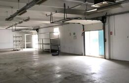 Hala industriala, 300 mp, zona Carcea