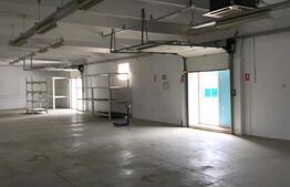 Hala industriala, 300 mp, zona Carcea
