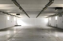 Hala industriala, 300 mp, zona Carcea