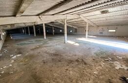 Hala industriala, 6000 mp, zona Pielesti
