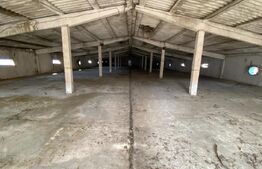 Hala industriala, 6000 mp, zona Pielesti