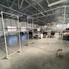 Spațiu industrial de închiriat Lapus - 147769SII - Poza 1 din 4 | BLITZ Craiova | Poza1