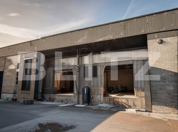 Spațiu industrial de închiriat Podari - 147770SII | BLITZ Craiova | Poza4