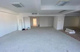 Spatiu comercial, 350 mp, zona Ultracentrala