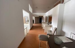 Spatiu comercial, 411 mp, vad stradal, zona Metal Lemn