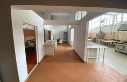 Spatiu comercial, 411 mp, vad stradal, zona Metal Lemn